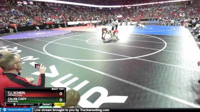 D1-152 lbs Quarterfinal - T.J. Schierl, Stevens Point vs Caleb Cady, Pewaukee