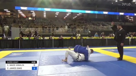 CALEB WADE HINKLIN vs CASEY JAMES SIMS 2024 Pan Jiu Jitsu IBJJF Championship