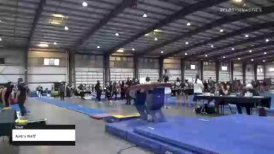 Avery Neff - Vault - 2021 Region 1 Women's Championships