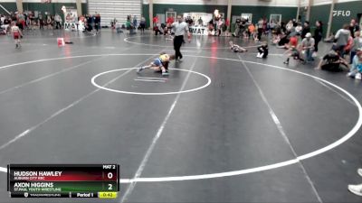 46 lbs Semifinal - Axon Higgins, St.Paul Youth Wrestling vs Hudson Hawley, Auburn City Rec