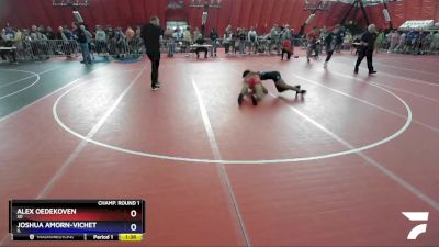 126 lbs Champ. Round 1 - Alex Oedekoven, SD vs Joshua Amorn-Vichet, IL