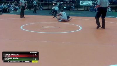 3 - 132 lbs Semifinal - Trace Ragland, New Kent vs Phoenix Alyea, Skyline