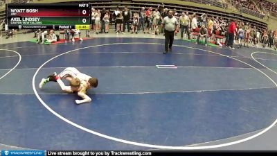 78 lbs Cons. Round 2 - Wyatt Bosh, JWC vs Axel Lindsey, Canyon View Falcons