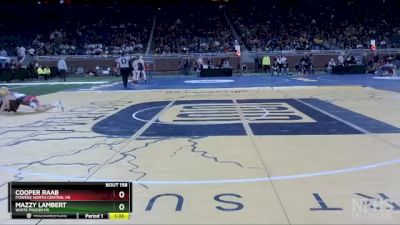 D4-113 lbs Quarterfinal - Cooper Raab, Powers North Central HS vs Mazzy Lambert, White Pigeon HS