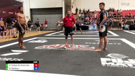 Pedro Felipe Do Nascimento Silva vs Andre Santos 2024 ADCC Sao Paulo Open