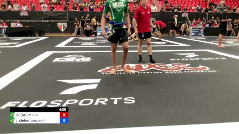 ANDRE SALIM vs Joao Cleber Borges 2024 ADCC Sao Paulo Open