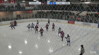 Replay: Home - 2024 Cougars U18 AAA vs Norman U18 AAA | Feb 24 @ 7 PM