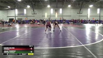 133 lbs Champ. Round 2 - Gavin Hilyar, Augsburg vs Denis Murphy, Wisconsin-Oshkosh