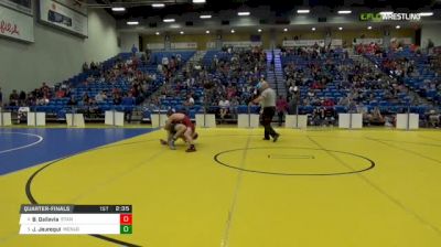 165 lbs Quarterfinal - Brandon Dallavia, Stanford vs Joseph Jauregui, Menlo College