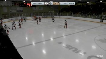 Replay: Home - 2024 Beaver Valley vs Castlegar | Feb 3 @ 7 PM