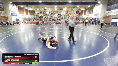 220 lbs Champ. Round 2 - Jacob Saucedo, Irvine vs Anthony DeLeon, Serrano