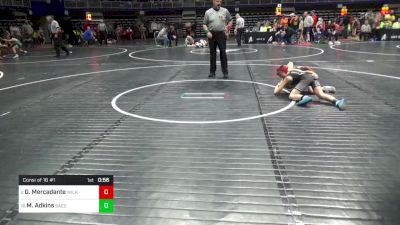 80 lbs Consi Of 16 #1 - Gio Mercadante, Wilkes Barre vs Millington Adkins, Saegertown