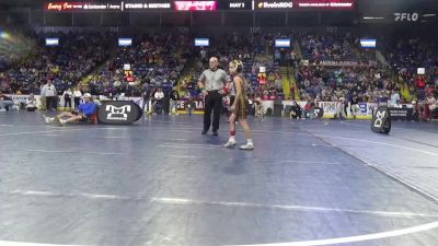 66 lbs Quarterfinal - Willow Stegena, Thomas Jefferson vs Charlotte Lavorerio, Springfield Township