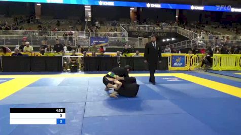 NOAH ALEXANDER HAUSER vs JUSTIN A IORIO 2024 Pan Jiu Jitsu IBJJF Championship