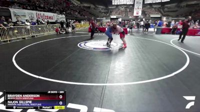 285 lbs Cons. Round 3 - Brayden Anderson, Beasts Youth Wrestling vs Najon Gillspie, Madison High School Wrestling