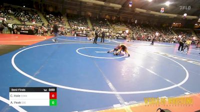 70 lbs Semifinal - Colter Hale, Comanche vs Abel Peak, 505 WC