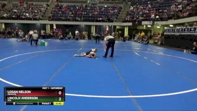 45 lbs Quarterfinal - Logan Nelson, MN Elite vs Lincoln Anderson, DGF