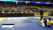 ISABELLA YVONNE FERNANDEZ vs BRITTANY GRACE HARDER 2024 Pan Jiu Jitsu IBJJF Championship
