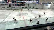 Replay: Home - 2024 Rockets HC U10 vs Bandits 10U White | Jan 28 @ 7 AM