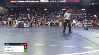 90 lbs Quarterfinal - Landon Melius, Tussey Mountain vs Julian Montoya, Williamsport