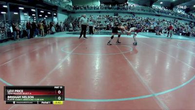 105 lbs Cons. Round 3 - Brigham Nelson, Platte County Wrestling Club-AAA vs Levi Price, Team Missouri Select-A