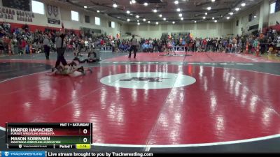 85 lbs Cons. Round 4 - Harper Hamacher, Pursuit Wrestling Minnesota vs Mason Sorensen, Owatonna Wrestling Association