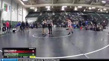 84 lbs Round 4 (6 Team) - Cole Caniglia, Nebraska Titans vs Damian Stinson, Midwest Destroyers