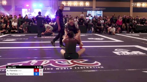Amanda Pamela vs Nicole Mathew 2024 ADCC North American Trials 2