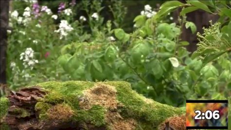 Replay: Bro Flips - 2026 SnowBros Wowza | Jan 8 @ 1 AM