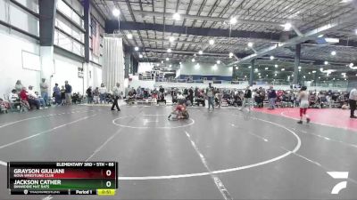 88 lbs Quarterfinal - Grayson Giuliani, NOVA Wrestling Club vs Jackson Cather, Dinwiddie Mat Rats