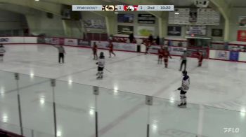 Replay: Home - 2024 Princeton vs Sicamous | Jan 20 @ 6 PM