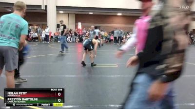 95 lbs Quarterfinal - Preston Bartolini, Carolina Reapers vs Nolan Petit, Moorseville