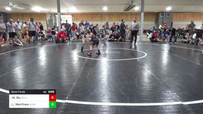 62 lbs Semifinal - Matthew Bly, Wilkes-Barre vs Liam Merithew, Morrisville