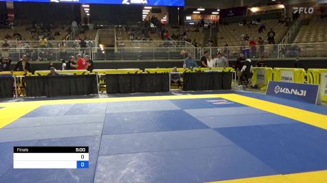 MICHAL VEBR vs KLEBER LUIZ DA SILVA 2024 Pan Jiu Jitsu IBJJF Championship