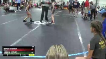 64 lbs Round 4 (6 Team) - Abigail Harvey, RPA Martial Arts & Fitness vs Brylie Garner, Storm