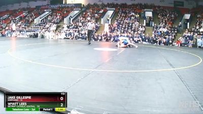 113 lbs Finals (8 Team) - Wyatt Lees, Detroit Catholic Central vs Jake Gillespie, Hartland