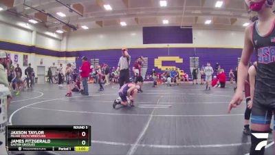 95 lbs Round 5 - Jaxson Taylor, Pelion Youth Wrestling vs James Fitzgerald, Gaston Grizzlies