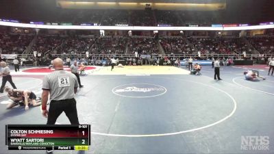 II-101 lbs Cons. Round 5 - Wyatt Sartori, Dansville/Wayland-Cohocton vs Colton Schmiesing, Oyster Bay