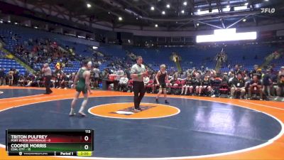 113 lbs Quarterfinals (8 Team) - Triton Pulfrey, Port Byron (Riverdale) vs Cooper Morris, Coal City