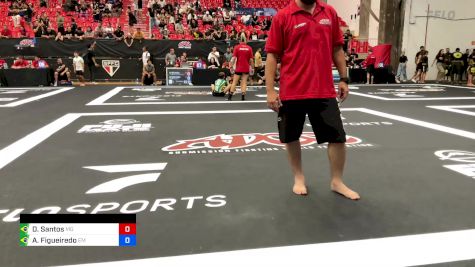 David Santos vs Arthur Figueiredo 2024 ADCC Sao Paulo Open