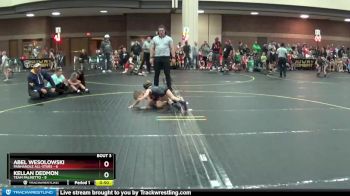 47 lbs Quarterfinals (8 Team) - Kellan Dedmon, Team Palmetto vs Abel Wesolowski, Panhandle All-Stars