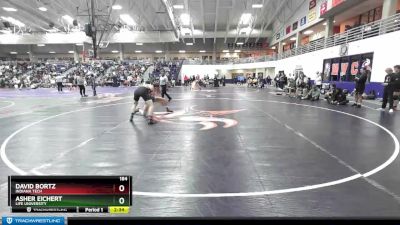 184 lbs Champ. Round 2 - Asher Eichert, Life University vs David Bortz, Indiana Tech