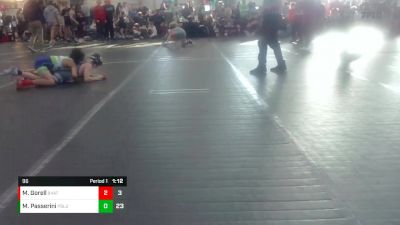 96 lbs Round 1 - Mason Passerini, PA Alliance Blue vs MJ Gorell, 84 Athletes