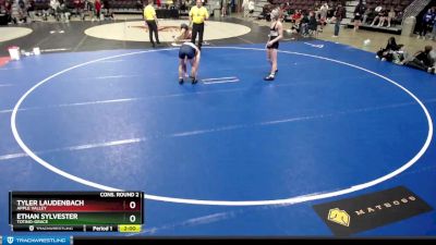 138 lbs Cons. Round 2 - Ethan Sylvester, Totino-Grace vs Tyler Laudenbach, Apple Valley