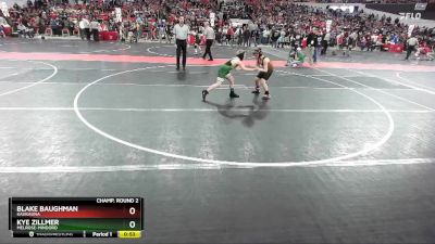 95 lbs Champ. Round 2 - Kye Zillmer, Melrose-Mindoro vs Blake Baughman, Kaukauna