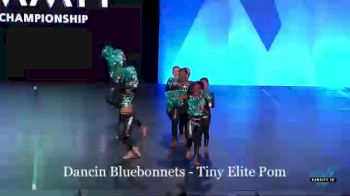 Replay: Fiesta Ballroom - 2022 The Dance Summit | May 1 @ 9 AM