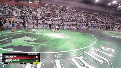 83 lbs Cons. Round 2 - Cruz Knopp, Lakeland WC vs Lincoln Wilson, Kalispell WC