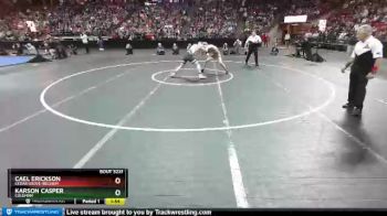 D3-145 lbs 1st Place Match - Cael Erickson, Cedar Grove-Belgium vs Karson Casper, Coleman
