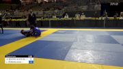 ANA BEATRIZ ALVES SANT'ANNA vs LOHANY PEREIRA DIAS 2024 Pan Jiu Jitsu IBJJF Championship