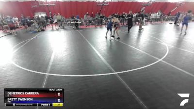 113 lbs Cons. Round 4 - Demetrios Carrera, IL vs Brett Swenson, MN